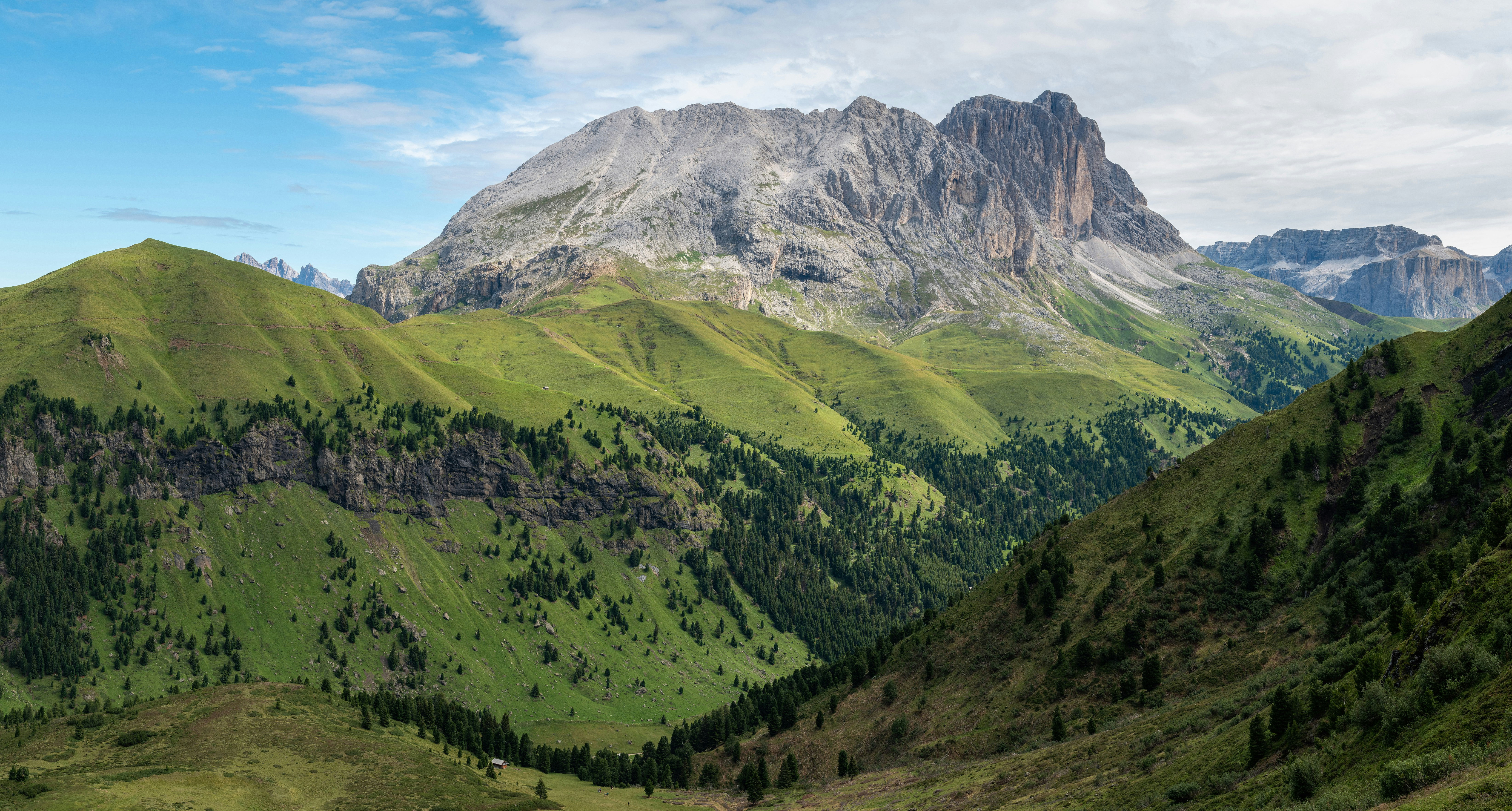 Vehreyttä ja puita vuoria vasten taustalla Alpeilla