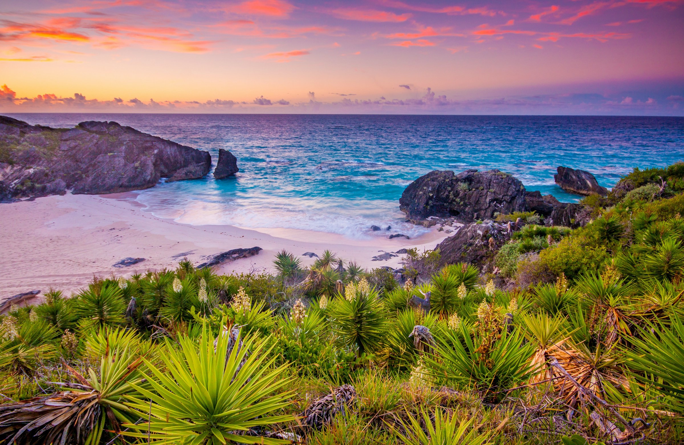 Vackra buskar leder ned till en lugn strand med klippor och blått hav i en rosa solnedgång i Bermuda