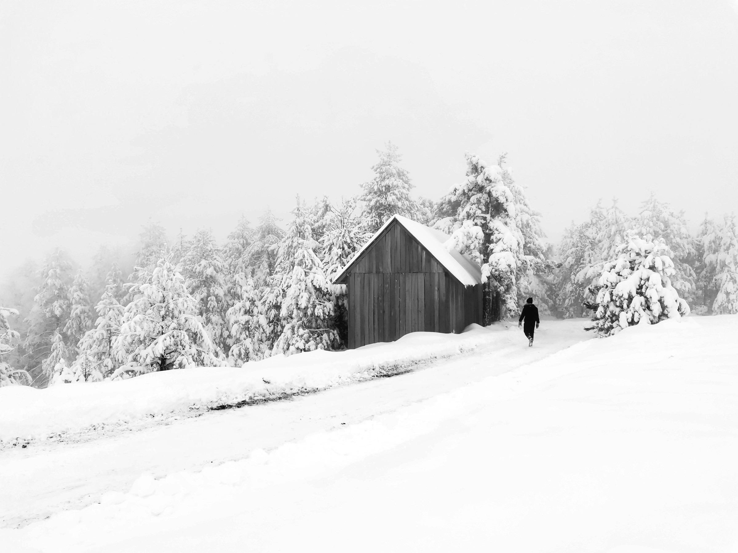 Snötäckt landskap med ett hus, träd och en ensam man som går på en väg i Kopaonik