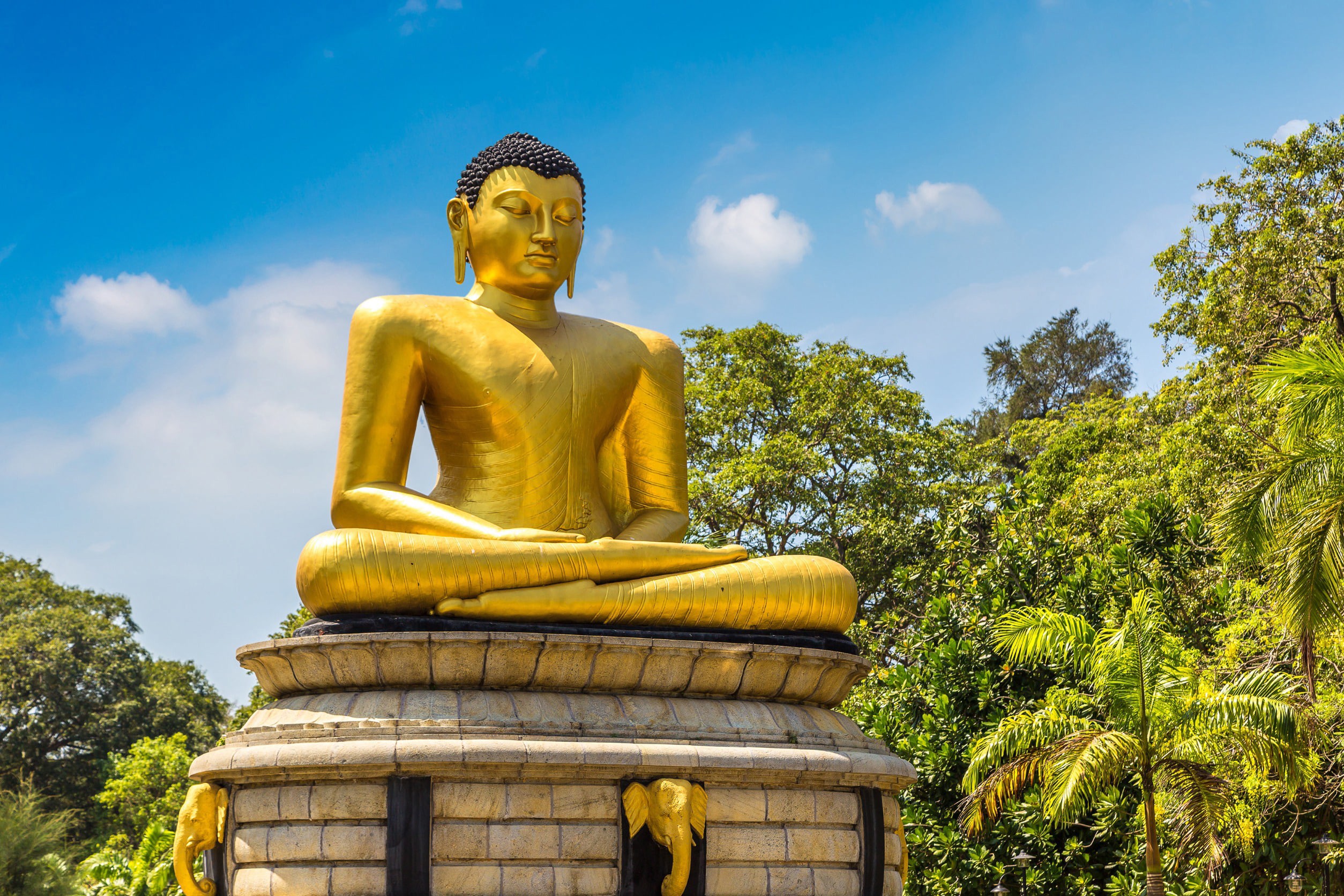 Kultainen buddhalainen patsas, jonka ympärillä on palmuja, Colombo, Sri Lanka